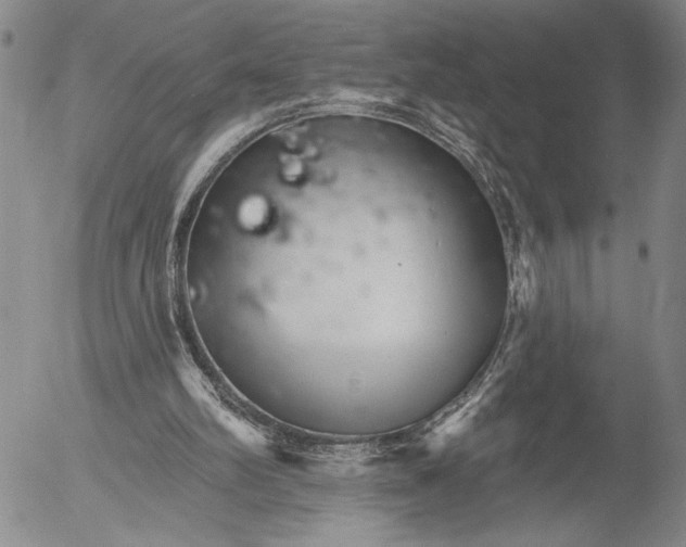 X0000052980102200507291602