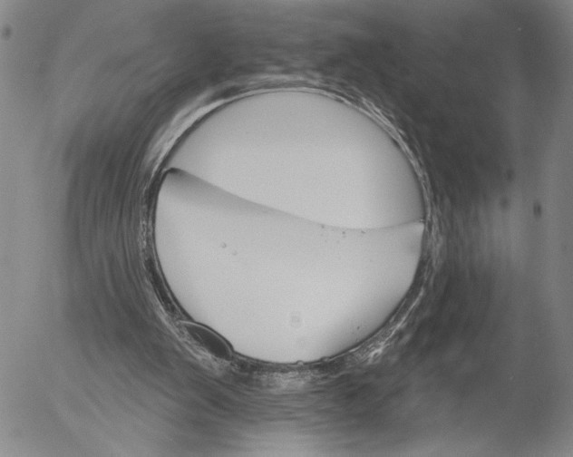 X0000052980103200507291602