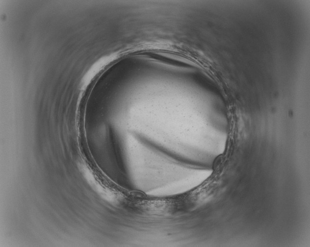 X0000052980104200507291602