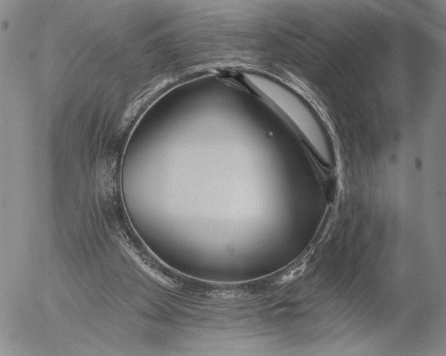 X0000052980105200507291601