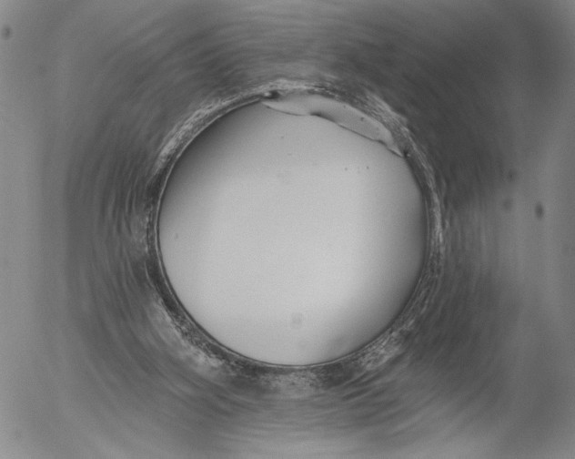 X0000052980106200507291601