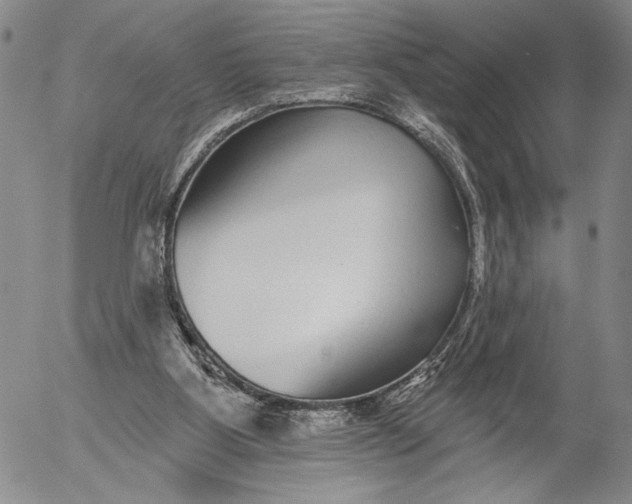 X0000052980107200507291601