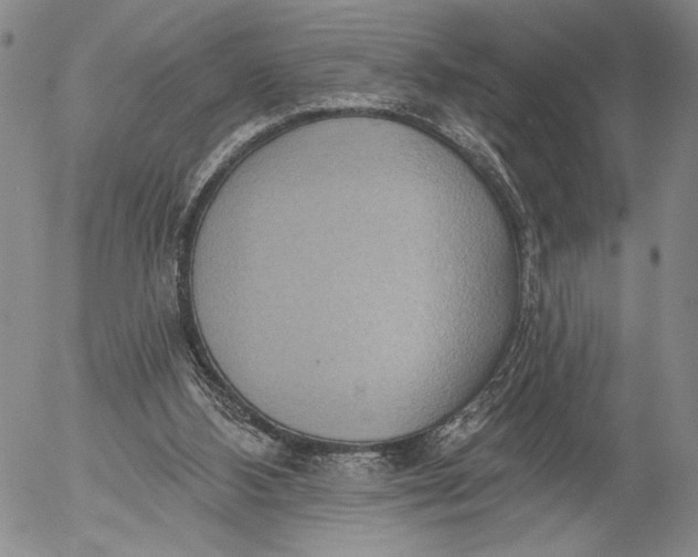 X0000052980108200507291601