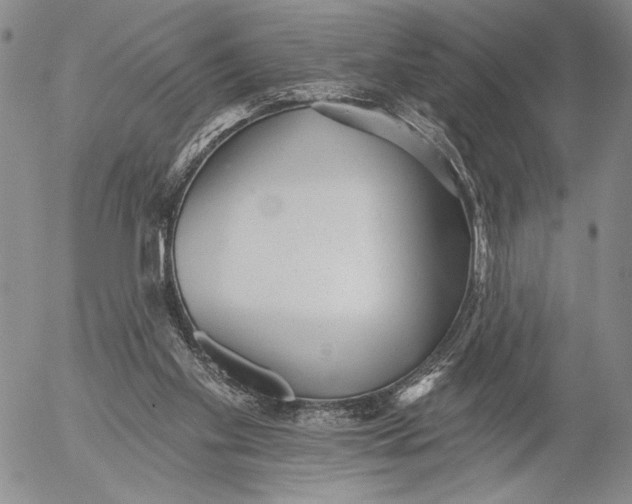 X0000052980109200507291601