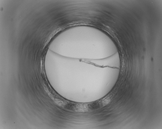 X0000052980110200507291601