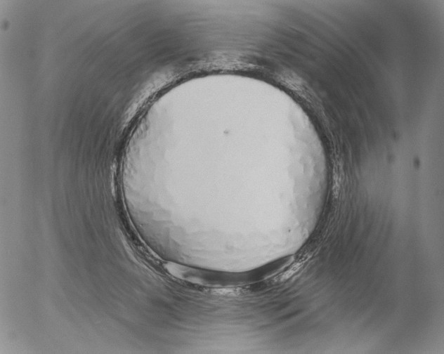 X0000052980111200507291601