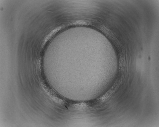 X0000052980112200507291601