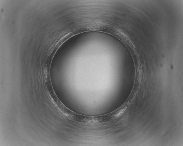 X0000052980113200507291601