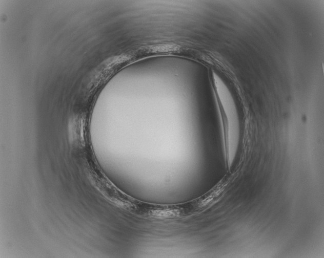 X0000052980115200507291601