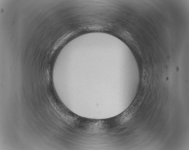 X0000052980116200507291601