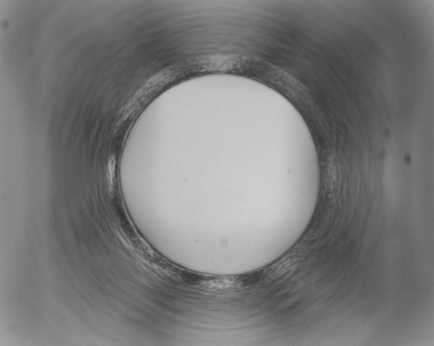 X0000052980118200507291601