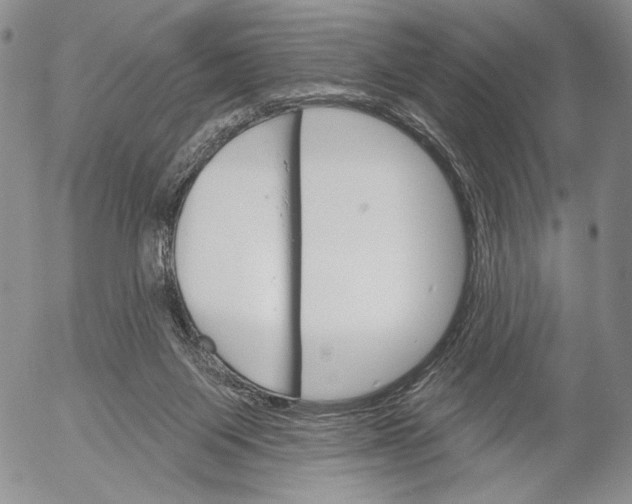 X0000052980119200507291601