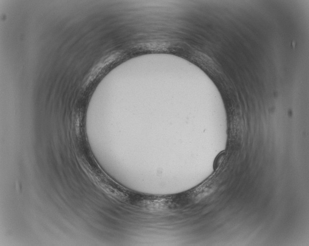 X0000052980120200507291601