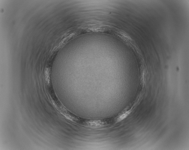 X0000052980121200507291601