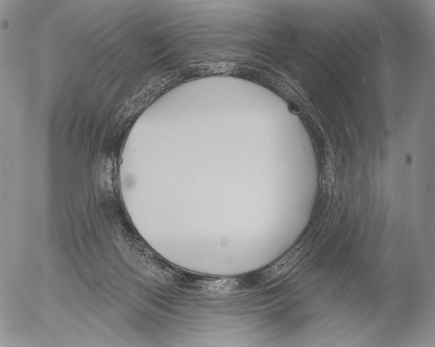 X0000052980122200507291601