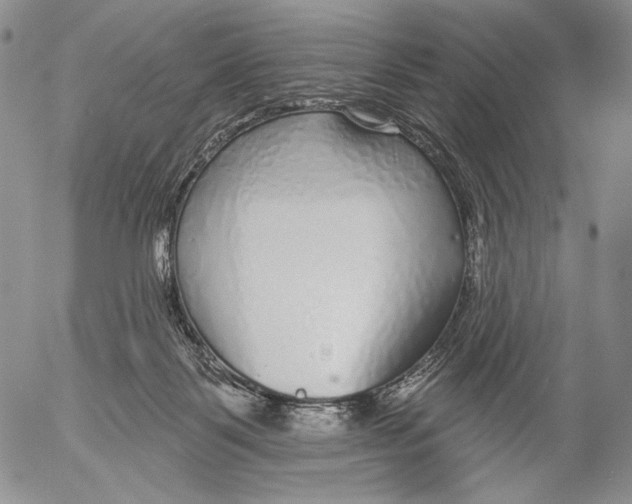 X0000052980123200507291601