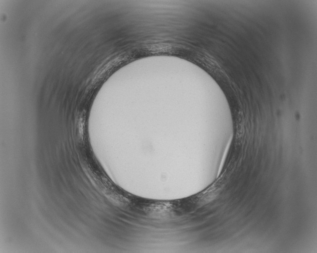 X0000052980124200507291601