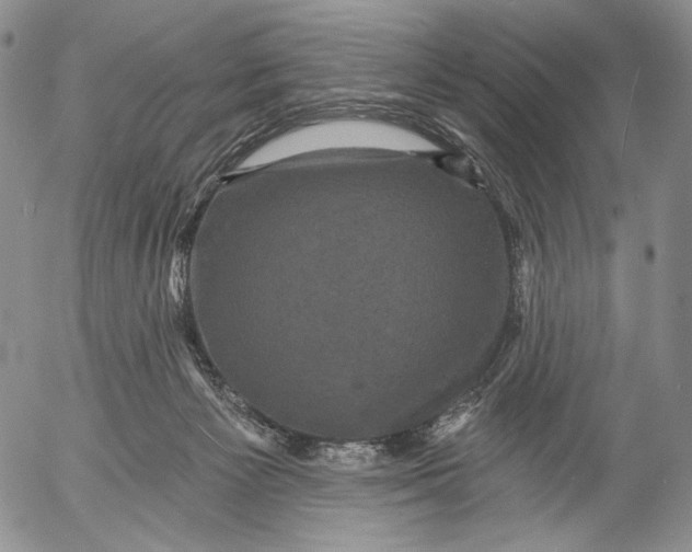 X0000052980125200507291601