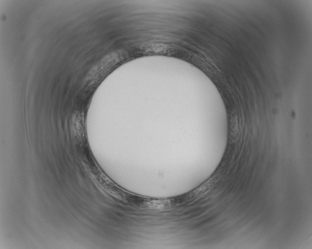 X0000052980126200507291601