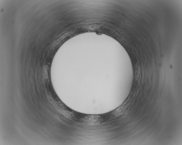 X0000052980128200507291601