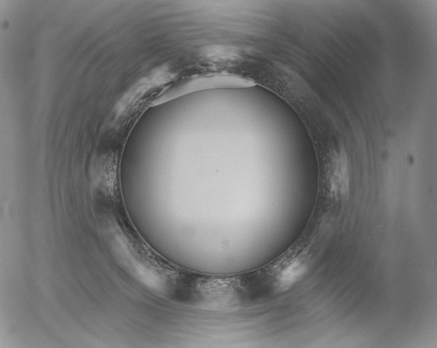 X0000052980129200507291601