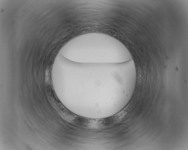 X0000052980130200507291601