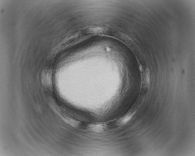 X0000052980131200507291601