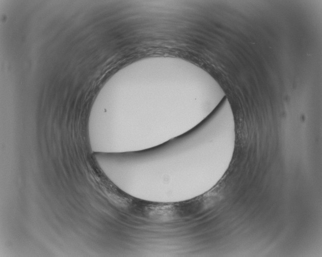 X0000052980132200507291601