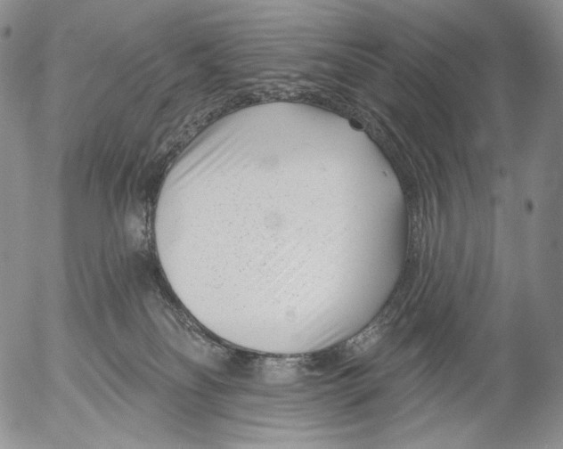 X0000052980134200507291601