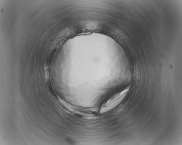 X0000052980135200507291601