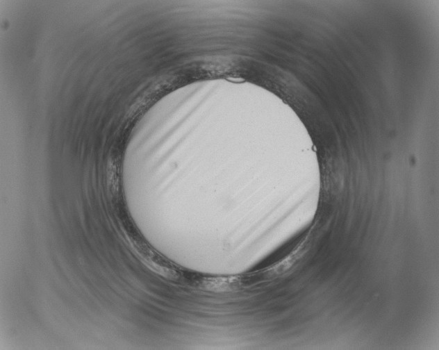 X0000052980136200507291601