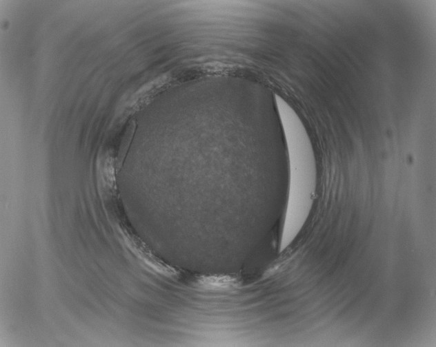 X0000052980137200507291601