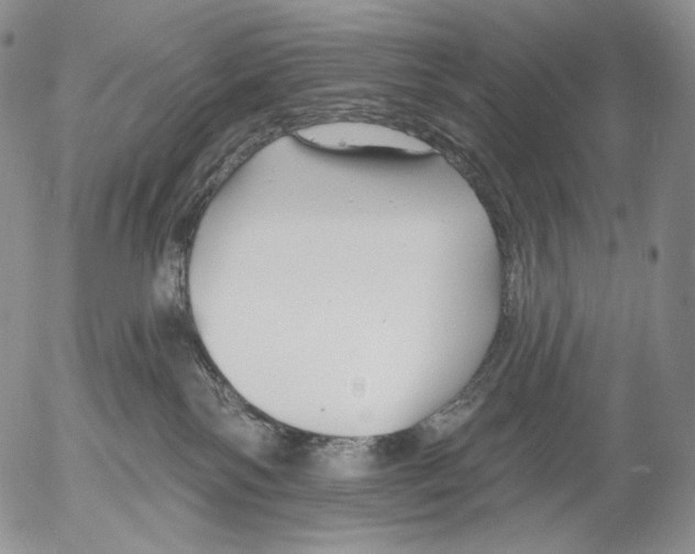 X0000052980138200507291601