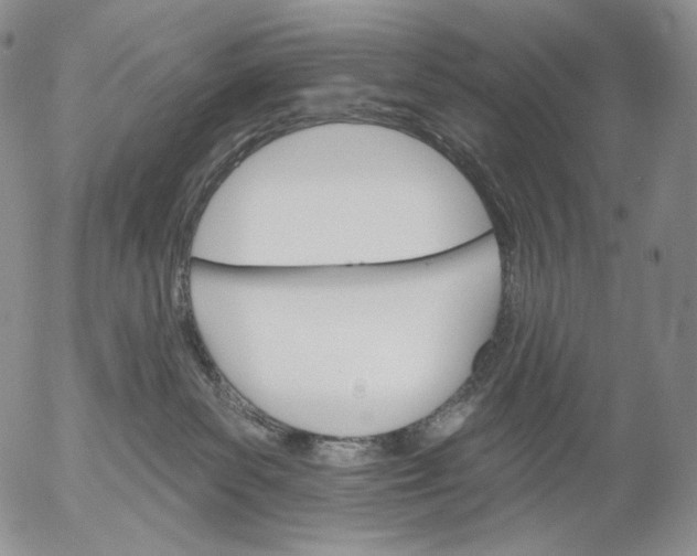 X0000052980139200507291601