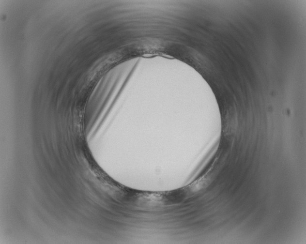 X0000052980140200507291601