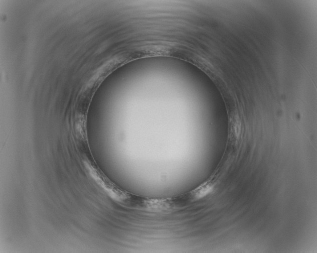 X0000052980141200507291601