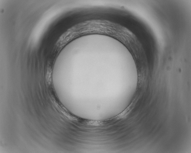 X0000052980142200507291601