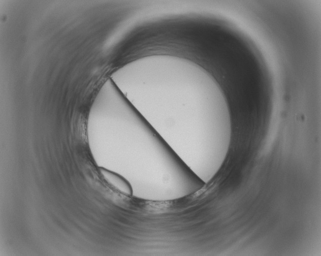 X0000052980143200507291601