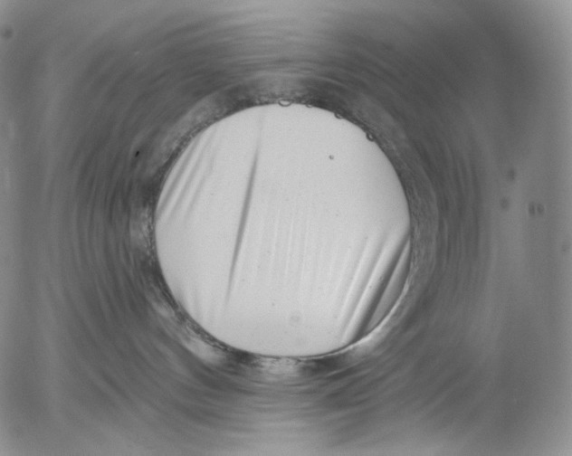 X0000052980144200507291601