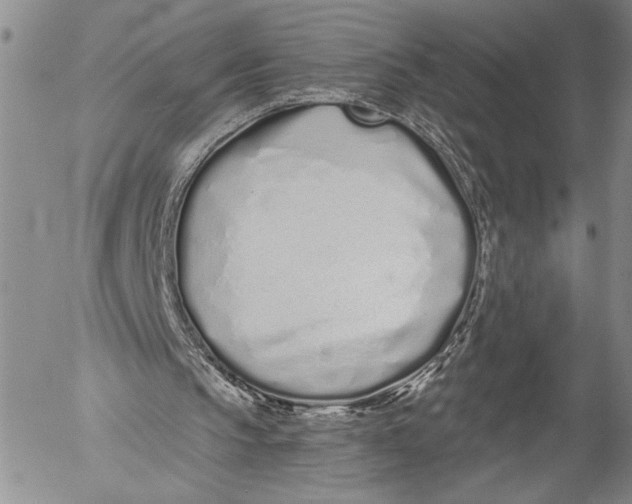 X0000052980145200507291600