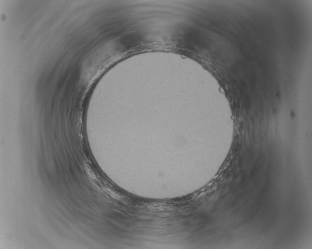 X0000052980146200507291600