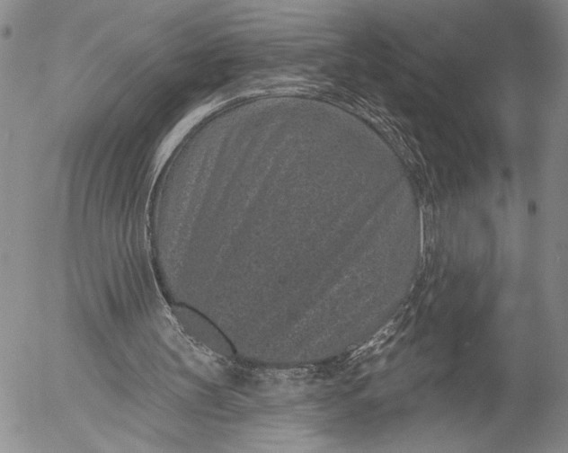 X0000052980147200507291600