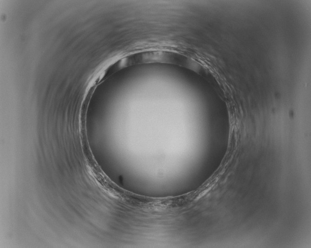 X0000052980148200507291600