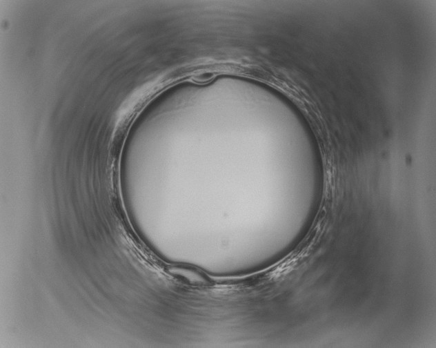 X0000052980149200507291600