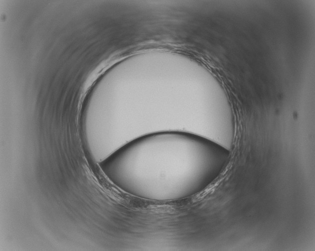 X0000052980150200507291600