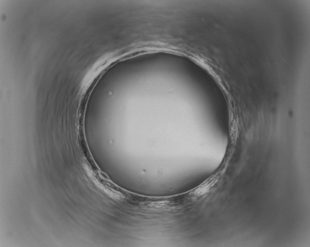 X0000052980151200507291600