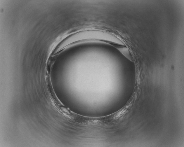 X0000052980152200507291600