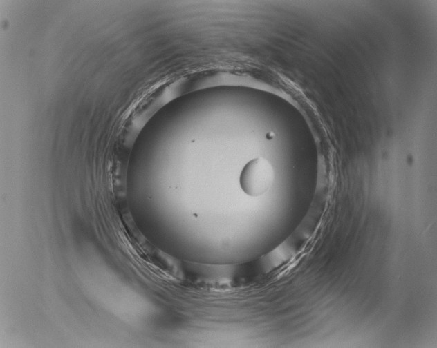 X0000052980154200507291600