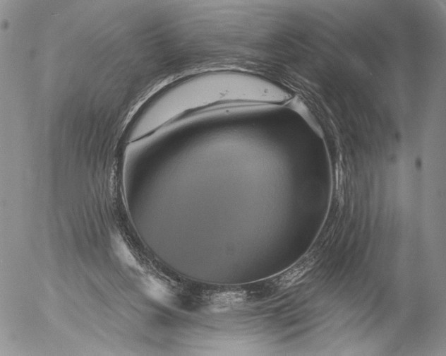 X0000052980156200507291600