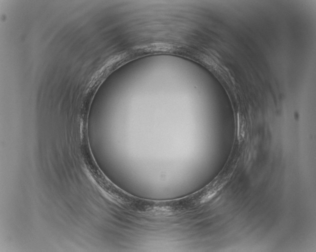 X0000052980157200507291600